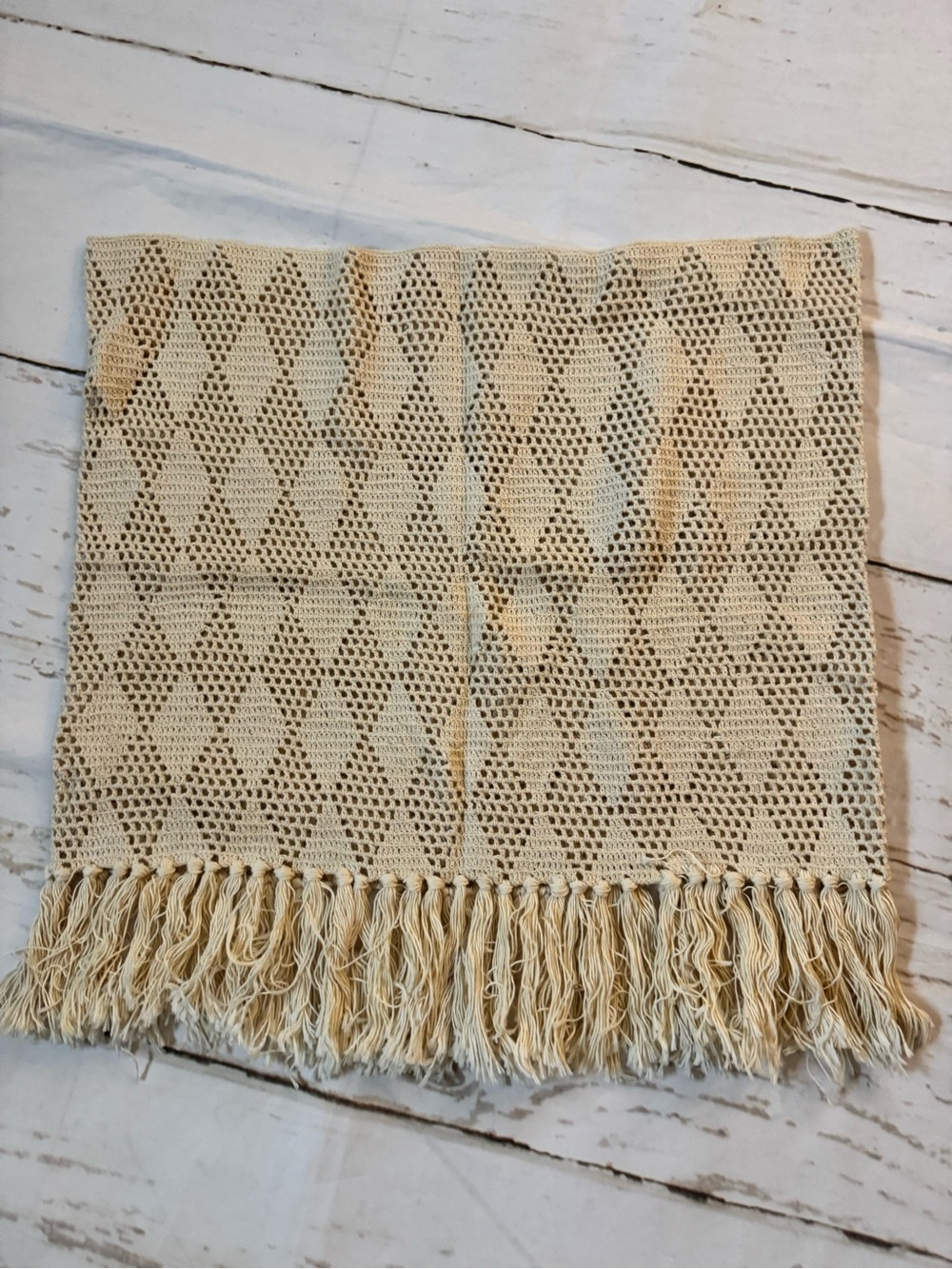 VintageNeutral Crochet Fringe Throw Blanket -